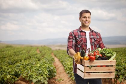 Agricultura sibiana se dezvolta Doua ferme avicole si 12 legumicole