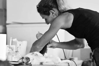 Animal Life lanseaza campanie de castrari gratuite la Rasinari