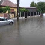 Canalizarea refuleaza la ploaie pe strada Trei Stejari