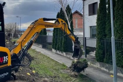 Jucaria pentru transplantare 500000 lei cheltuiti