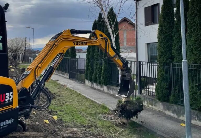 Jucaria pentru transplantare 500000 lei cheltuiti