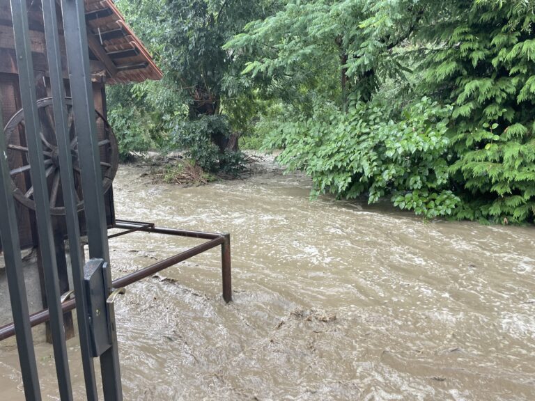 Noua furtuna la Cisnadiora 471 litri inregistrati