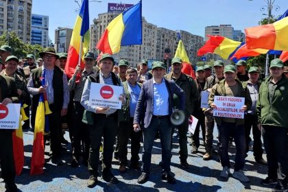 Sindicalistii din silvicultura avertizeaza Reforma Romsilva ameninta padurile