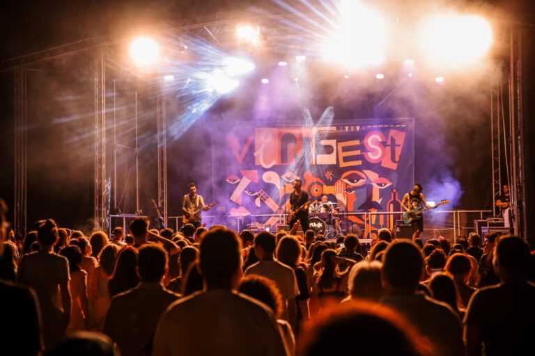 VINFEST 2025 Festival vinuri excelente si concerte electrizante