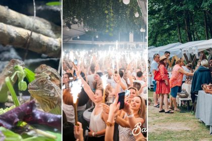 Weekend vibrant la Sibiu Petrecere targ si concerte