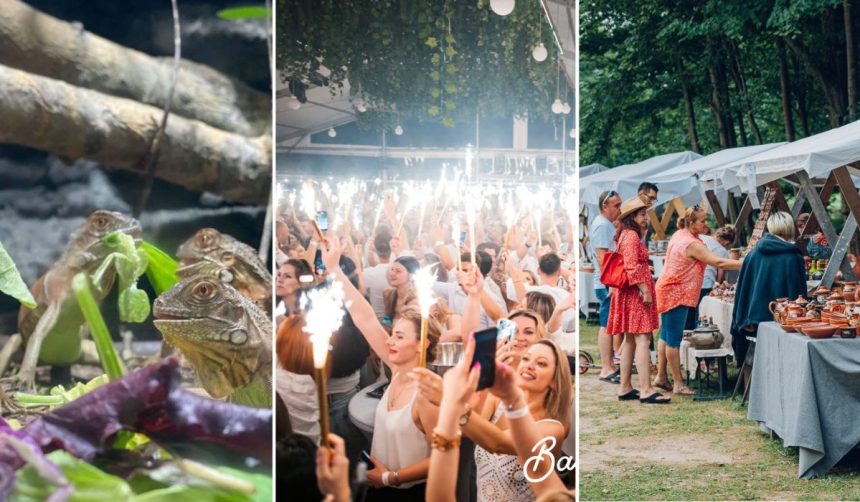 Weekend vibrant la Sibiu Petrecere targ si concerte