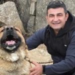 A intrat in foc pentru a salva caii