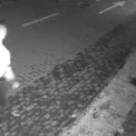 Act de cruzime in Sibiu barbat ataca un caine