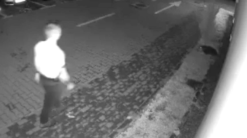 Act de cruzime in Sibiu barbat ataca un caine