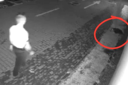 Cazul cainelui fugarit Politia Sibiu a gasit agresorul