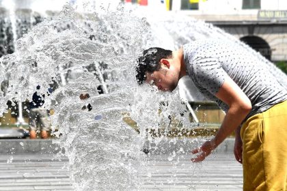 Cod galben de canicula si averse montane