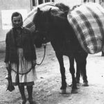 Descopera magia culorilor din plante Atelier de vopsire a lanii