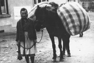 Descopera magia culorilor din plante Atelier de vopsire a lanii