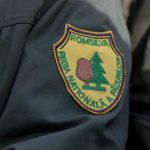 Directorul interimar al Romsilva selectat prin dezbatere publica