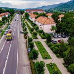 Fenomen ingrijorator la Copsa Mica Caini abandonati