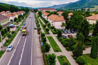 Fenomen ingrijorator la Copsa Mica Caini abandonati