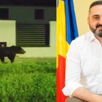 Goana organizata dupa ursul din Agnita Primar Suntem coplesiti de aparitii