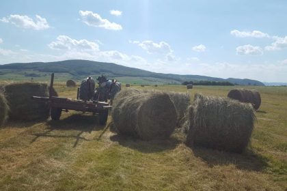 Hotii din Sibiu prinsi furand baloti in Alba
