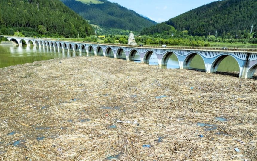 Imagini alarmante la Barajul Bicaz Lemnul a acoperit lacul