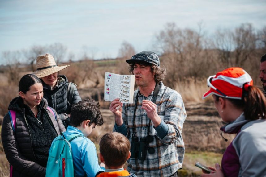 Observarea pasarilor la Sibiu ocazia perfecta pentru acvila tipatoare si soimul randunelelor
