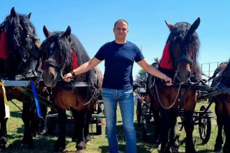 PSD Sibiu Cai traditie si suflet ardelenesc Orlatul unde trecutul intalneste viitorul