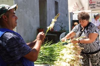 Participare record la Festivalul Tuberozelor din Hoghilag eveniment aglomerat duminica