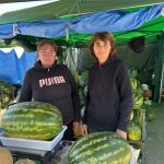 Pepenii gigant atractia finalului de vara la Piata Cibin