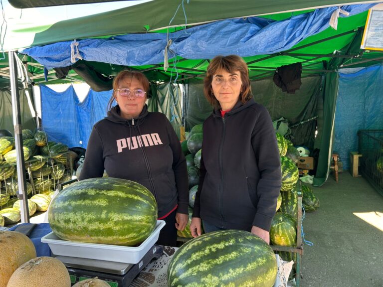 Pepenii gigant atractia finalului de vara la Piata Cibin