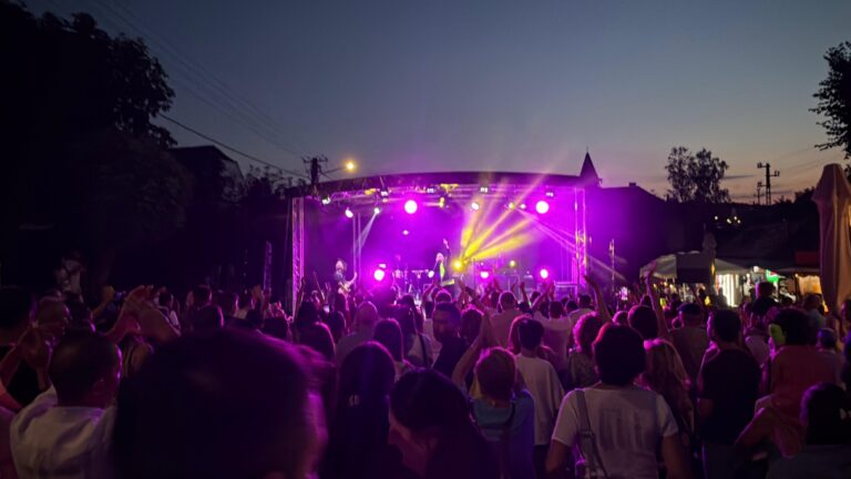 Peste 800 de oameni la concertul Direction 5