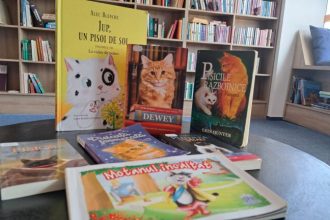 Pisici carti si relaxare la Biblioteca ASTRA