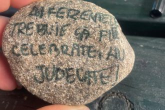 Primarul din Sadu Construim tinerii pentru viitor