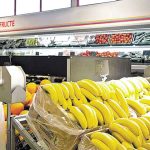 Romnia vinde cele mai scumpe banana din UE