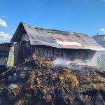 Tragedie la Merghindeal animale arse in grajd de flacari