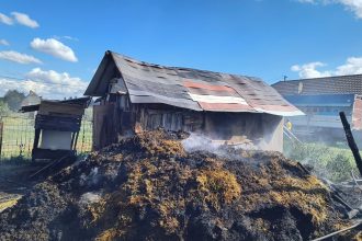 Tragedie la Merghindeal animale arse in grajd de flacari