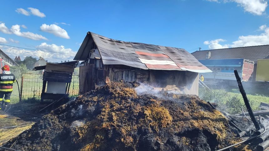Tragedie la Merghindeal animale arse in grajd de flacari