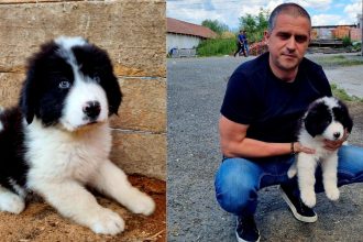 Val de aprecieri pentru deputatul Bogdan Trif