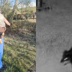 noi detalii despre catelusa ucisa de rottweileri