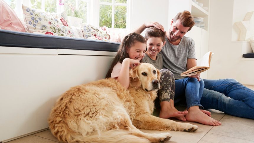 Animalele de companie imbunatatesc sanatatea mentala