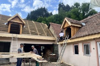 Casele traditionale din Rau Sadului prin viata si culoare