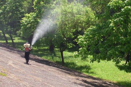 Dezinsectie in Selimbar Evitati zonele tratate