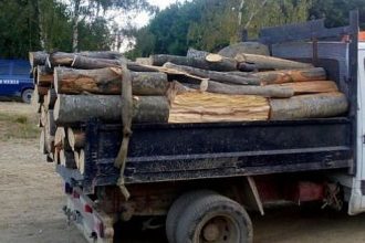 Dimineata cu ghinion la Rusciori lemne ilegale in camion