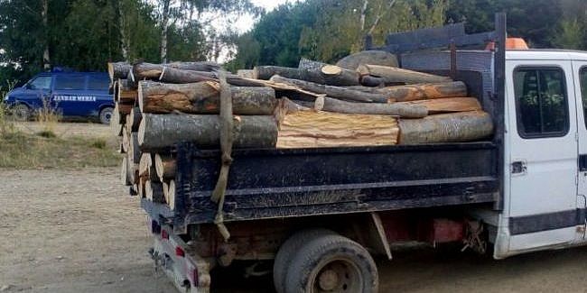 Dimineata cu ghinion la Rusciori lemne ilegale in camion