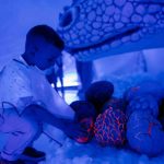 Experienta unica pentru copii Dragoni aduce magia la Teatrul Gong