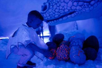 Experienta unica pentru copii Dragoni aduce magia la Teatrul Gong