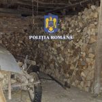 Mafia lemnului la Sibiu 8 retinuti 42 audiai