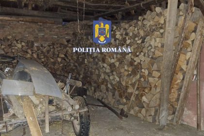 Mafia lemnului la Sibiu 8 retinuti 42 audiai