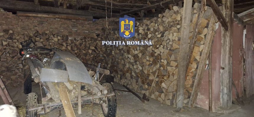 Mafia lemnului la Sibiu 8 retinuti 42 audiai