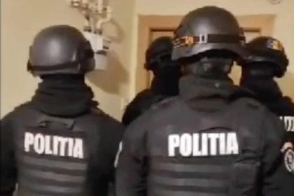 Mafia lemnului perchezitionata de mascati in Sibiu