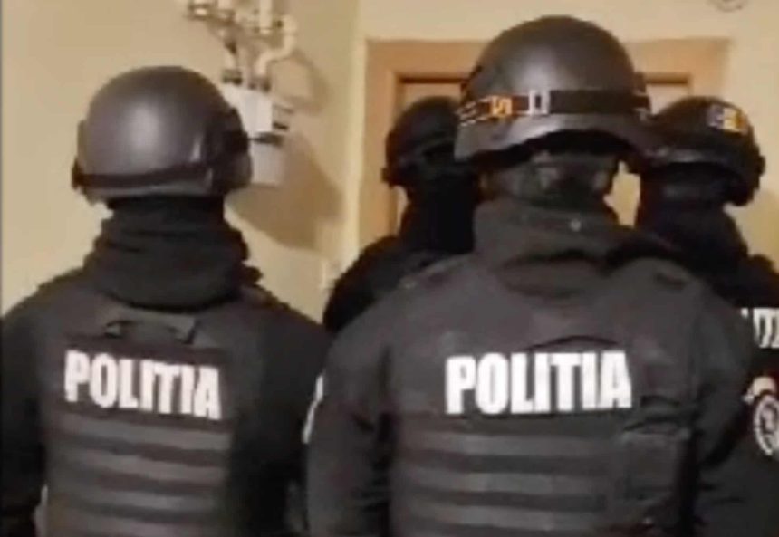 Mafia lemnului perchezitionata de mascati in Sibiu
