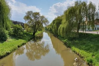 Mobilizare pentru curatarea si ecologizarea Cibinului